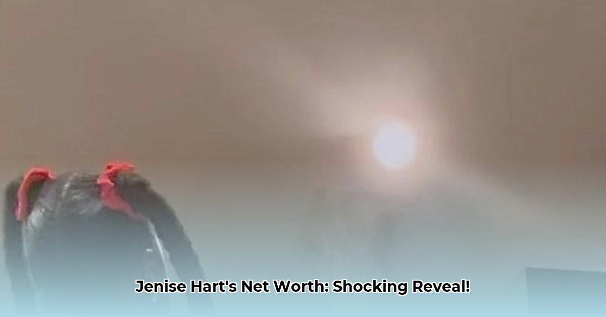 jenise-hart-net-worth